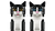 LEGO 21349 - TUXEDO CAT