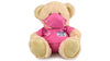 KORIMCO 23CM MY BUDDY BEAR - DOCTOR PINK