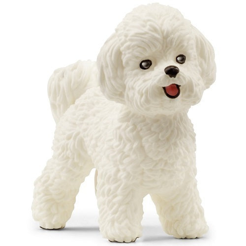SCHLEICH - BICHON FRISE - Toyworld Frankston