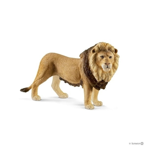 SCHLEICH - LION - Toyworld Frankston