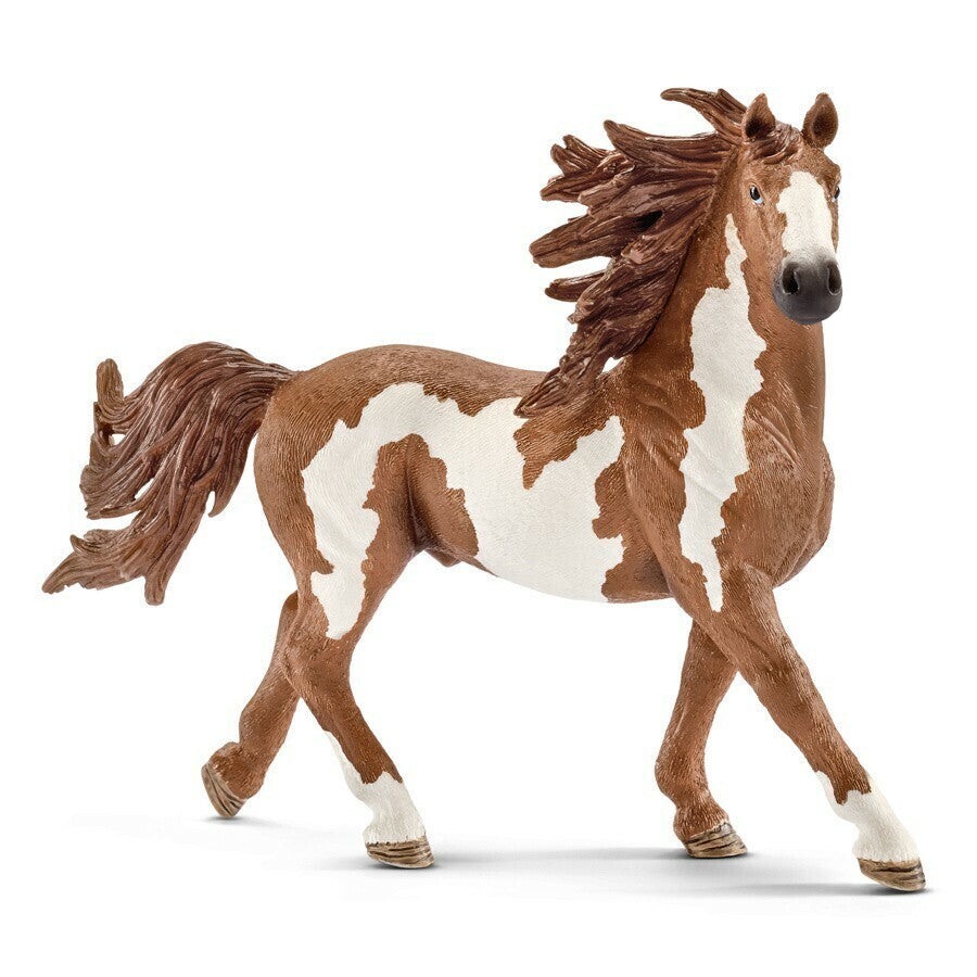 SCHLEICH - PINTO STALLION - Toyworld Frankston
