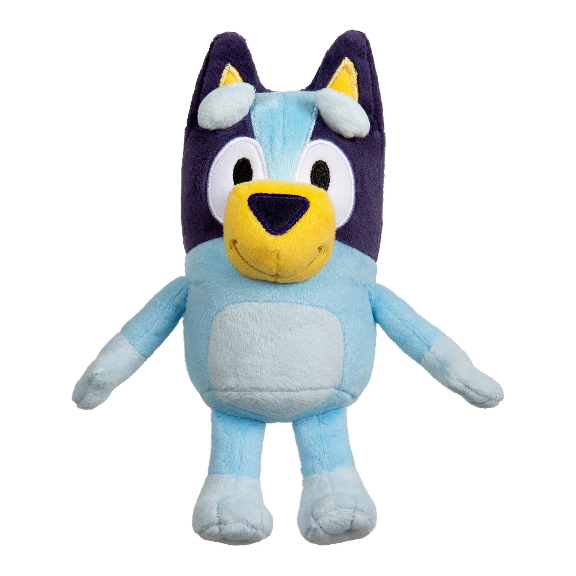 BLUEY AND FRIENDS - BLUEY