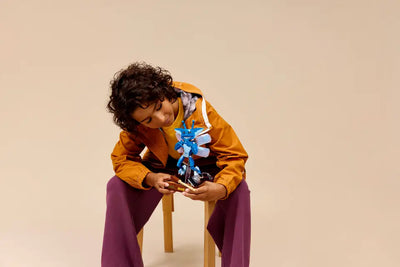 LEGO 76461 HARRY POTTER - CORNISH PIXIE - Toyworld Frankston