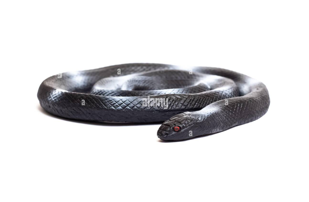 RUBBER SNAKE - BLACK
