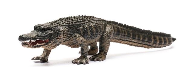 COLLECTA - AMERICAN ALLIGATOR (L)