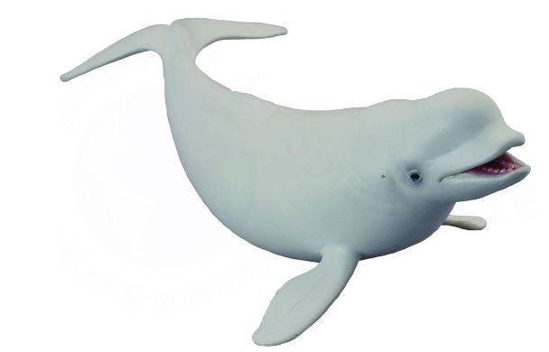 COLLECTA - BELUGA WHALE (L)