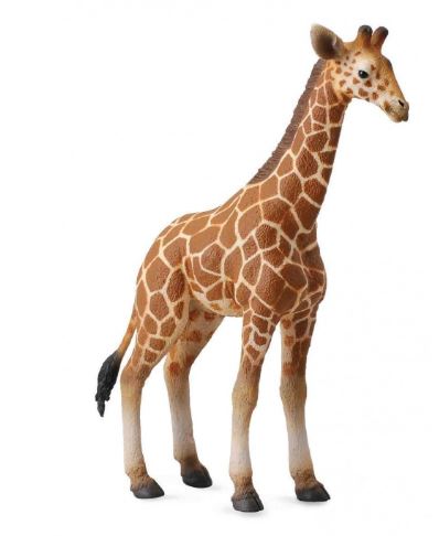 COLLECTA - RETICULATED GIRAFFE CALF (L)