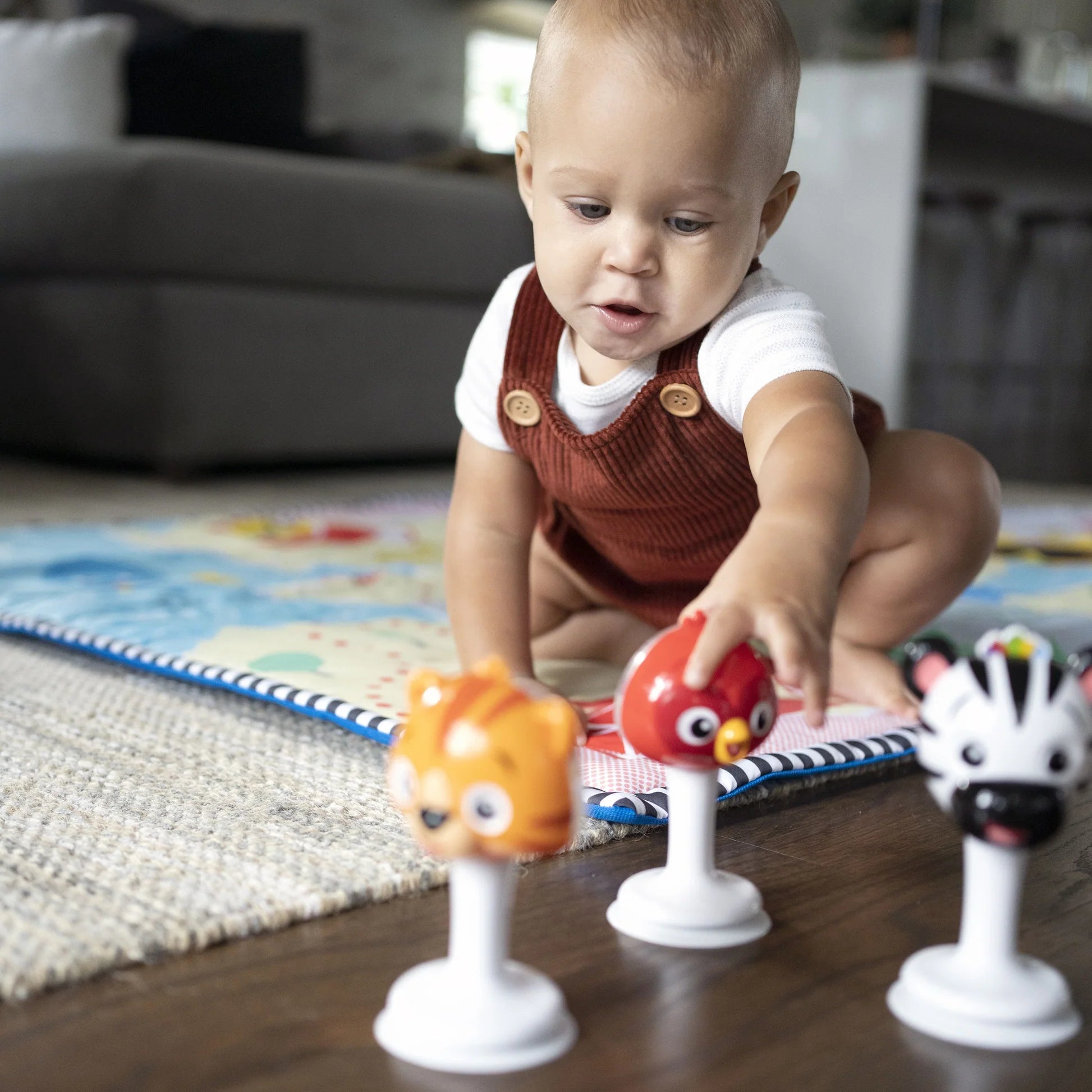 BABY EINSTEIN RATTLE & JINGLE TRIO - Toyworld Frankston