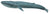 COLLECTA - BLUE WHALE