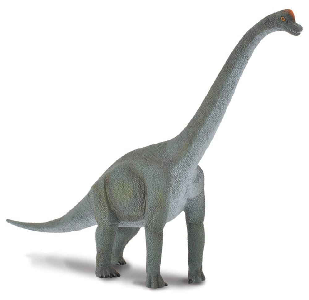 COLLECTA - BRACHIOSAURUS (L)