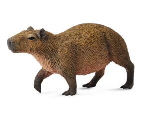 COLLECTA - CAPYBARA (M) - Toyworld Frankston