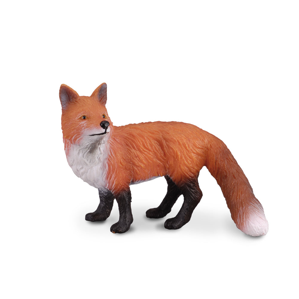 COLLECTA - RED FOX (S) - Toyworld Frankston