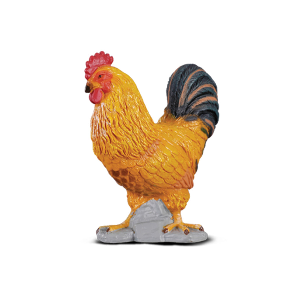 COLLECTA - COCKEREL (S)