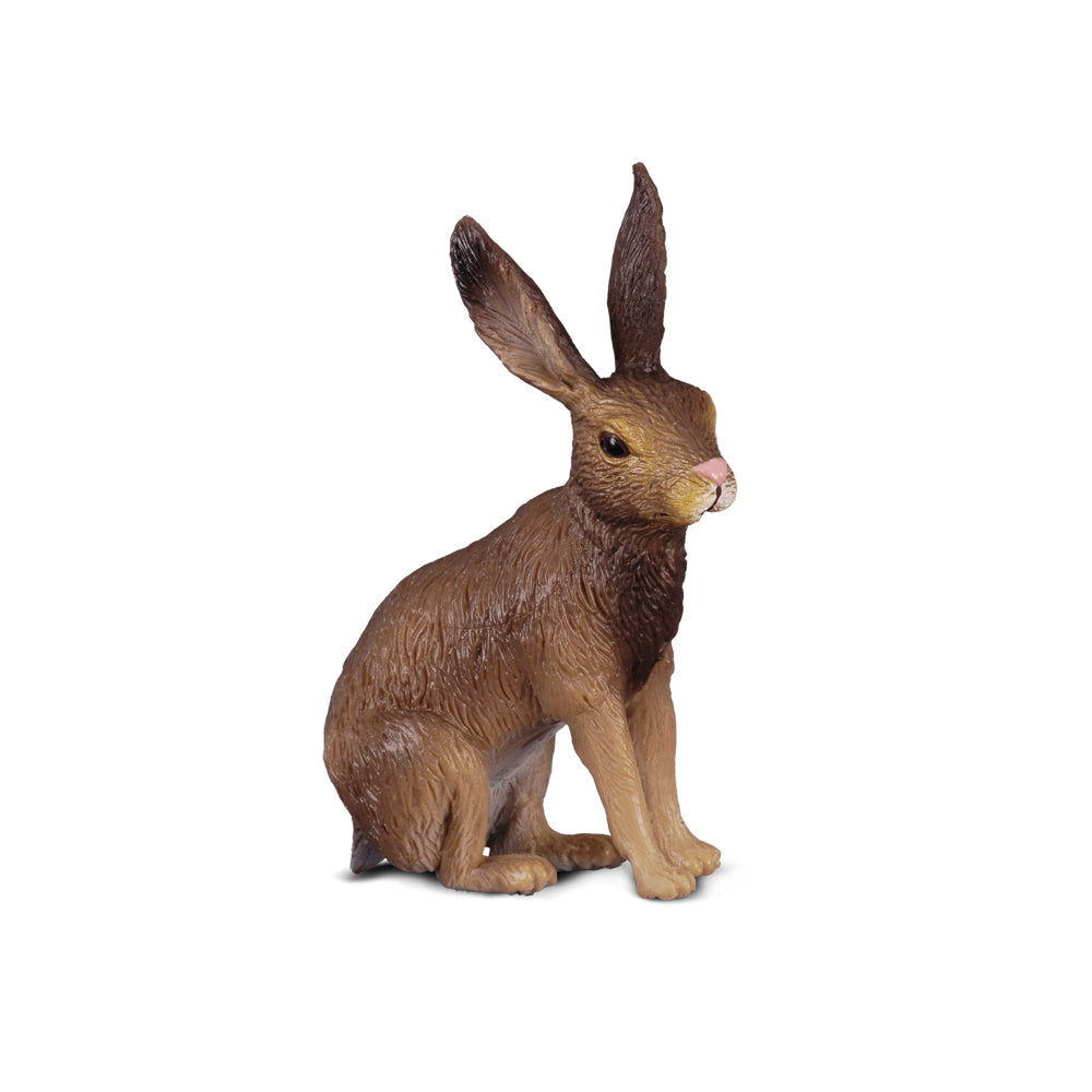 COLLECTA - BROWN HARE