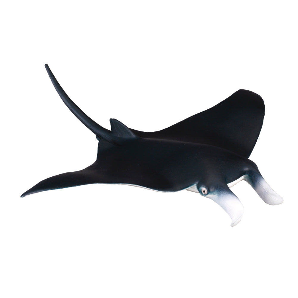 COLLECTA - MANTA RAY (M)