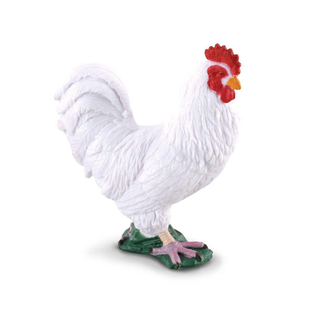 COLLECTA - COCKEREL WHITE (S)