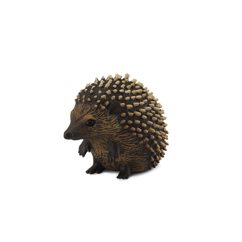 COLLECTA - HEDGEHOG (S)