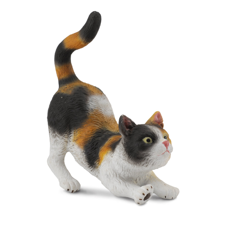 COLLECTA - CAT MOGGY STRETCHING (S) - Toyworld Frankston