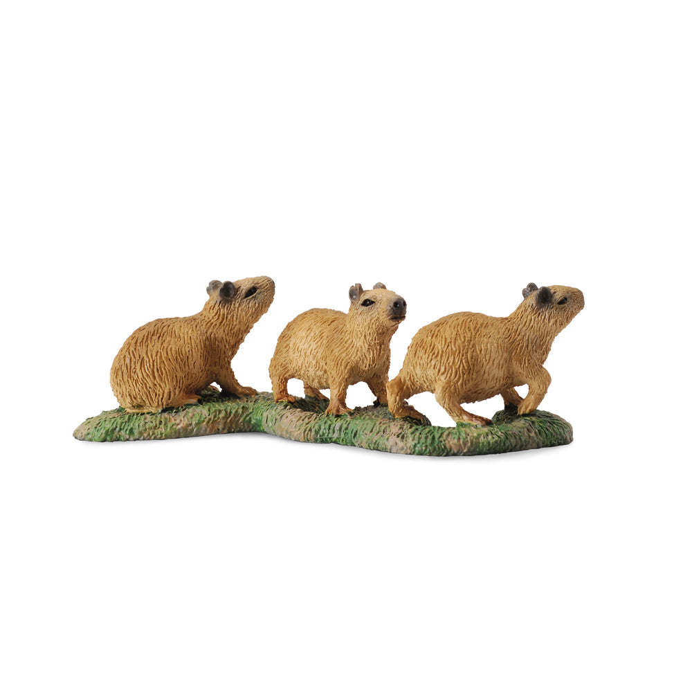 COLLECTA - CAPYBARA BABIES (S) - Toyworld Frankston