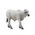 COLLECTA - BRAHMAN CALF GREY (S)