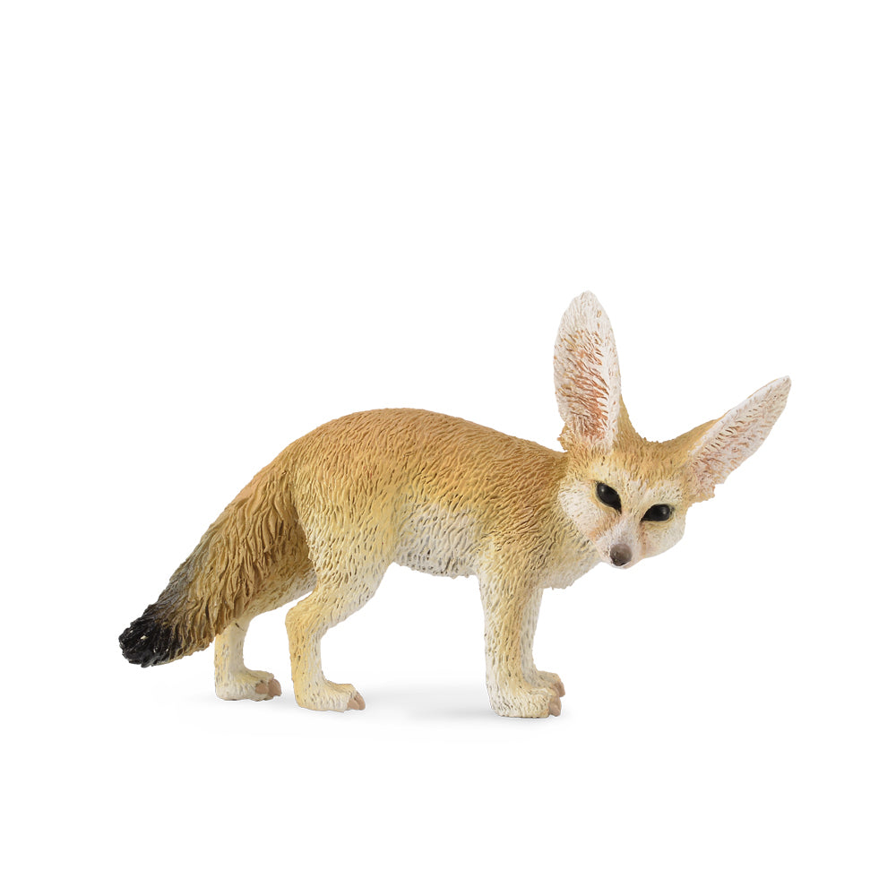 COLLECTA - FENNEC FOX (S)