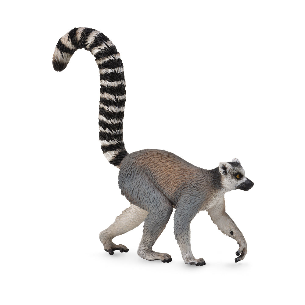 COLLECTA - RING-TAILED LEMUR - Toyworld Frankston