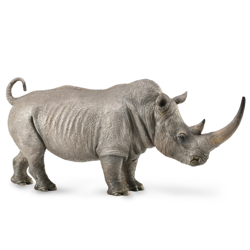COLLECTA - WHITE RHINOCEROS - Toyworld Frankston