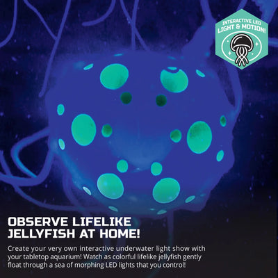 DISCOVERY JELLYFISH AQUARIUM - Toyworld Frankston