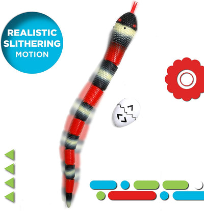DISCOVERY TOY RC KING SNAKE - Toyworld Frankston