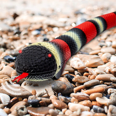 DISCOVERY TOY RC KING SNAKE - Toyworld Frankston