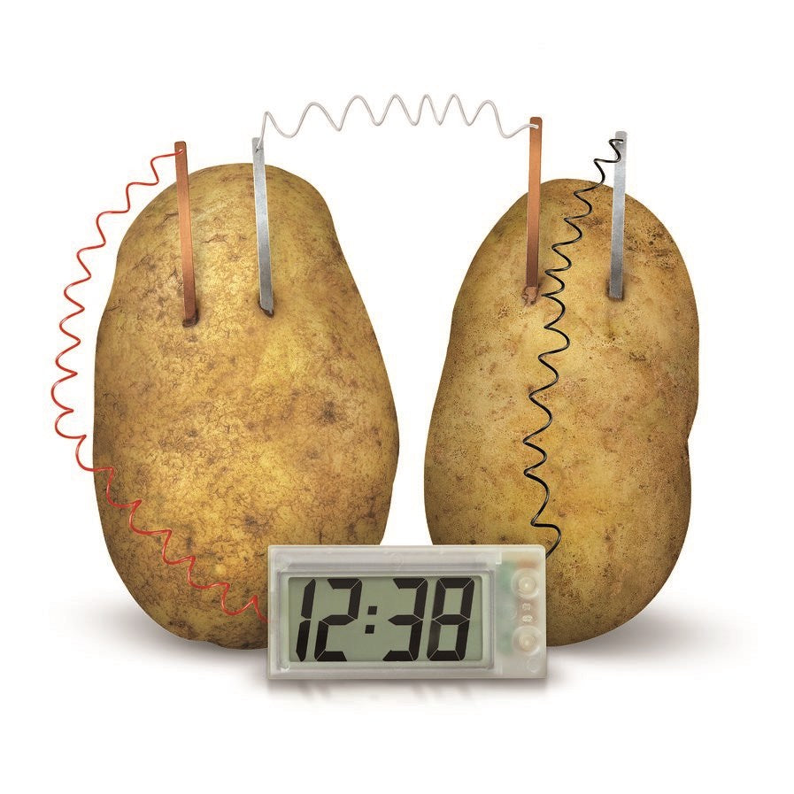 4M - GREEN SCIENCE POTATO CLOCK - Toyworld Frankston