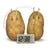 4M - GREEN SCIENCE POTATO CLOCK - Toyworld Frankston