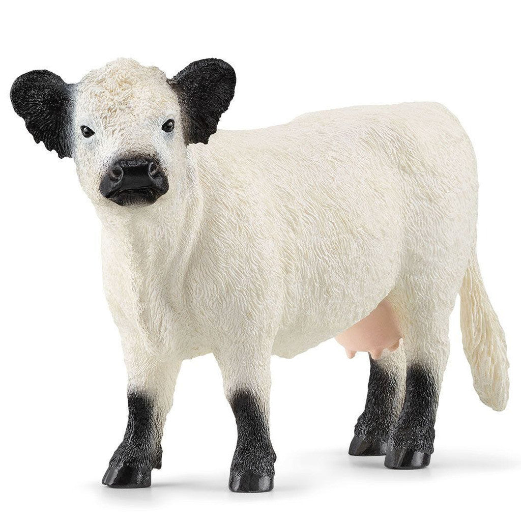 SCHLEICH - GALLOWAY COW - Toyworld Frankston