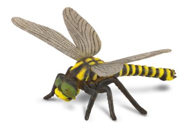 COLLECTA - GOLDEN RINGED DRAGONFLY (L)