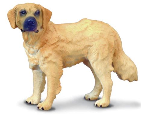 COLLECTA - GOLDEN RETRIEVER (M) - Toyworld Frankston