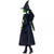 WICKED (2024) - ELPHABAB 11" FASHION DOLL - Toyworld Frankston