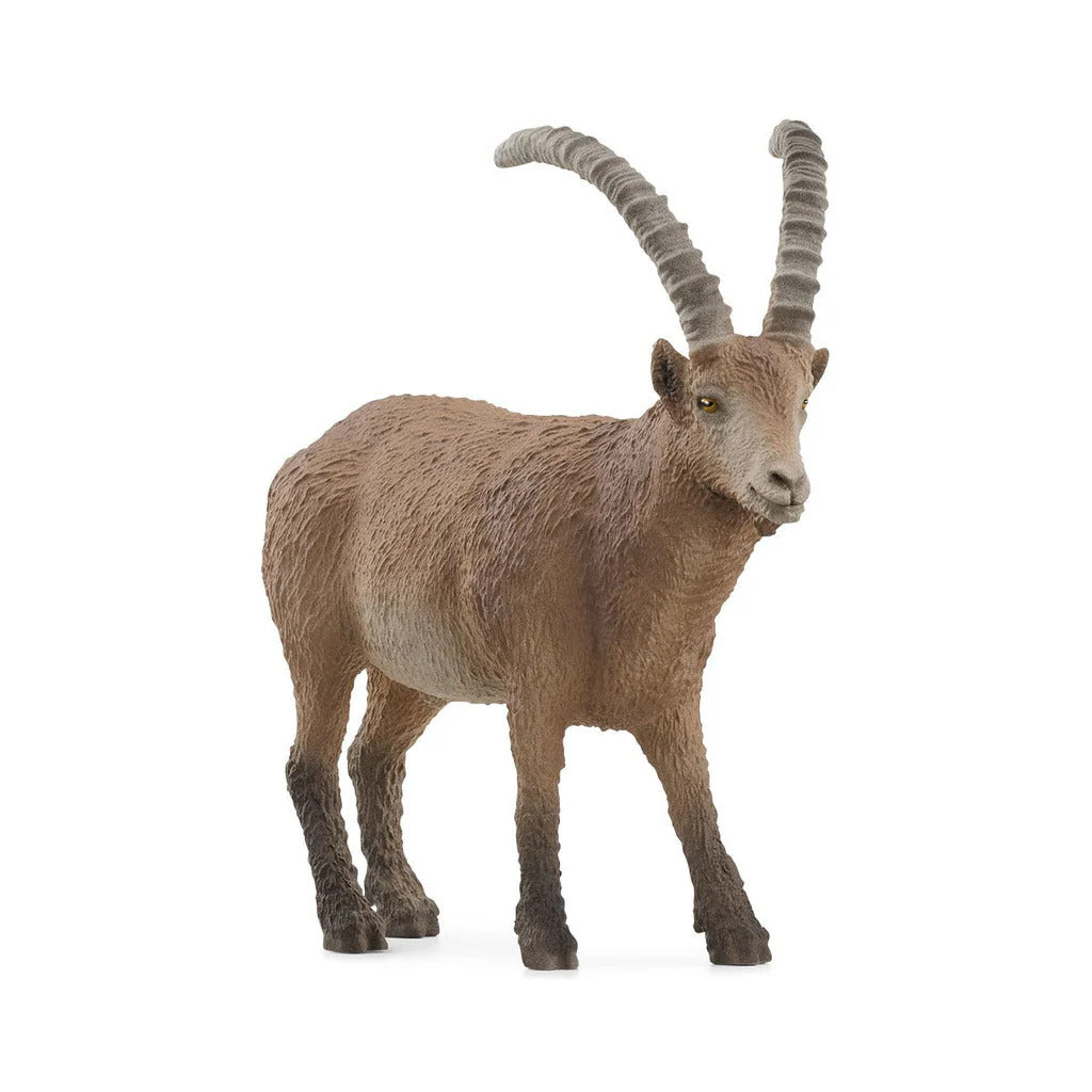 SCHLEICH - IBEX - Toyworld Frankston