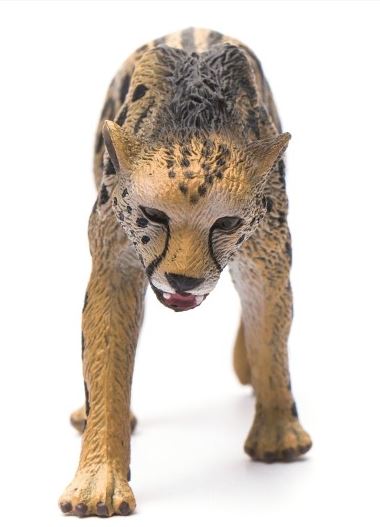 COLLECTA - KING CHEETAH (L) - Toyworld Frankston