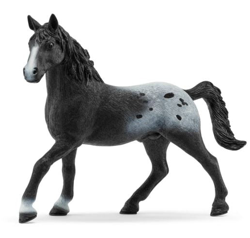 SCHLEICH - KNABSTRUPPER STALLION - Toyworld Frankston