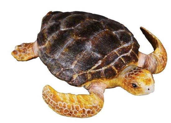 COLLECTA - LOGGERHEAD TURTLE (M)