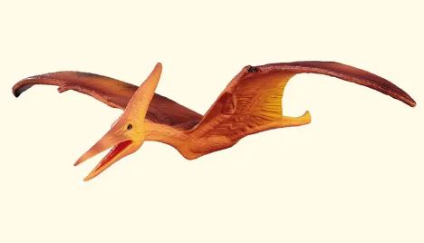 COLLECTA - PTERANODON (M) - Toyworld Frankston