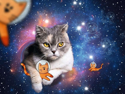 RAVENSBURGER 17439 3 CATS IN OUTER SPACE1500 PIECE PUZZLE - Toyworld Frankston