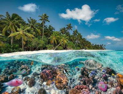RAVENSBURGER - A DIVE IN THE MALDIVES 2000 PIECE PUZZLE