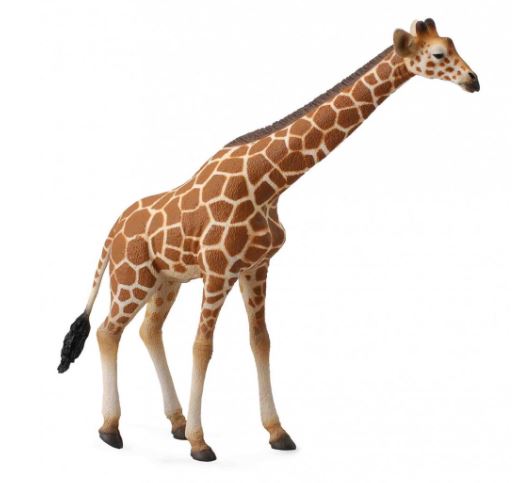 COLLECTA - RETICULATED GIRAFFE (XL)