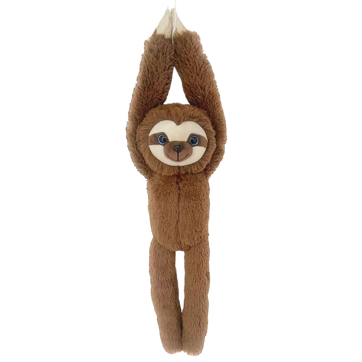 HANGING SLOTH - ROGER