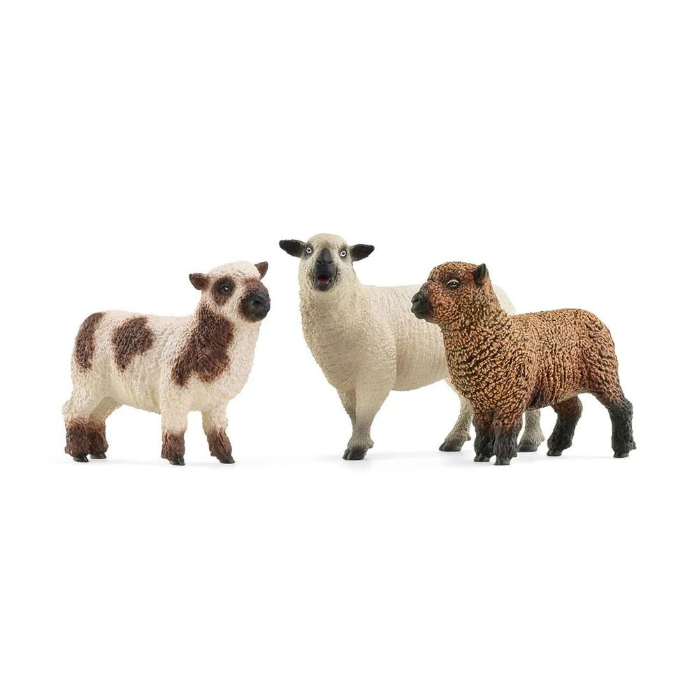 SCHLEICH - SHEEP FRIENDS SET 3PC