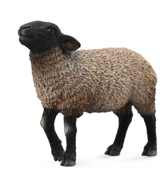 COLLECTA - SUFFOLK SHEEP (M)