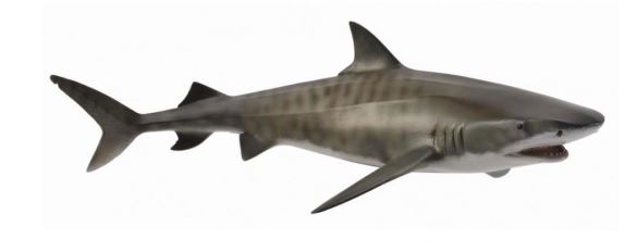 COLLECTA - TIGER SHARK (L)