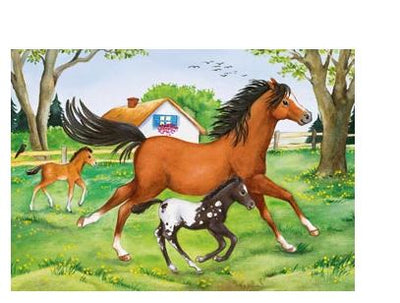 RAVNSBURGER 088829 -  WORLD OF HORSES 2X24 PIECE PUZZLE - Toyworld Frankston