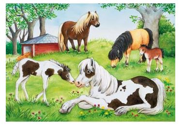 RAVNSBURGER 088829 -  WORLD OF HORSES 2X24 PIECE PUZZLE - Toyworld Frankston